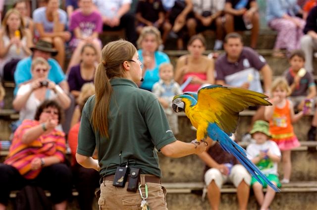Female animal team member faces crowd of adults and young children with blue and yellow macaw on her arm 