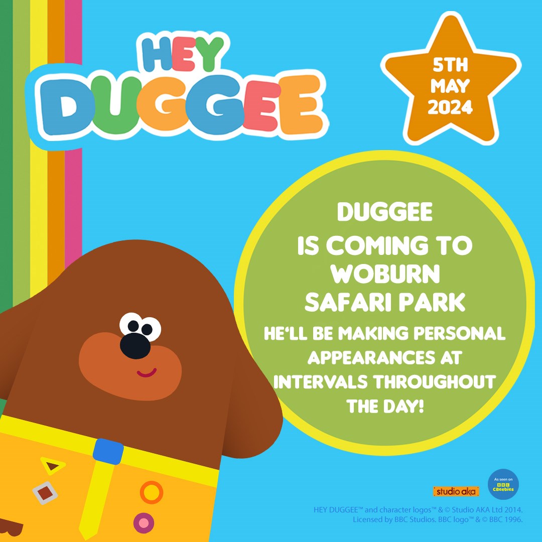 Image of 5 thmay hey duggee wsp web 1f whats on carousel 1080 x 1080
