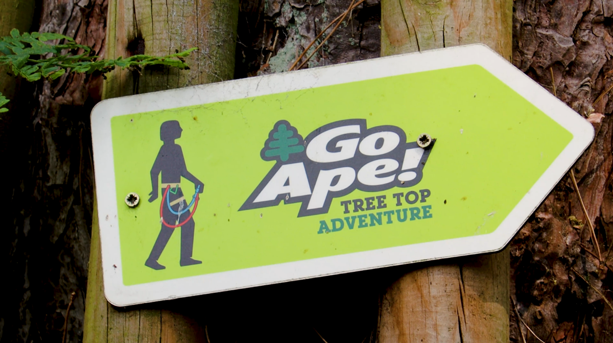 Go Ape Tree Top Adventure sign on tree