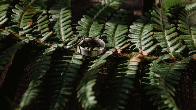 Image of wedding venue rings on leaves web res