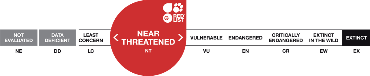 Red List Scale Near Threatened