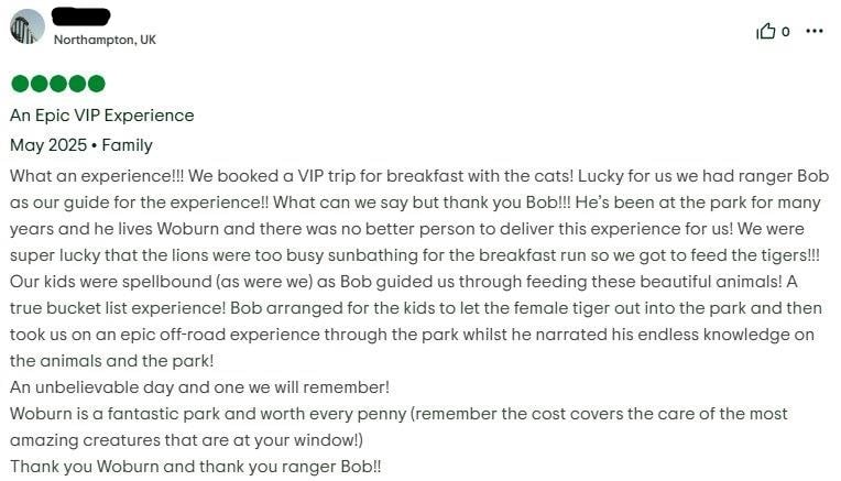 Big Cat Breakfast Trip Advisor Review