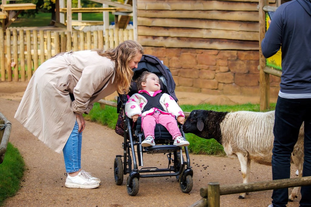 safari park disabled tickets