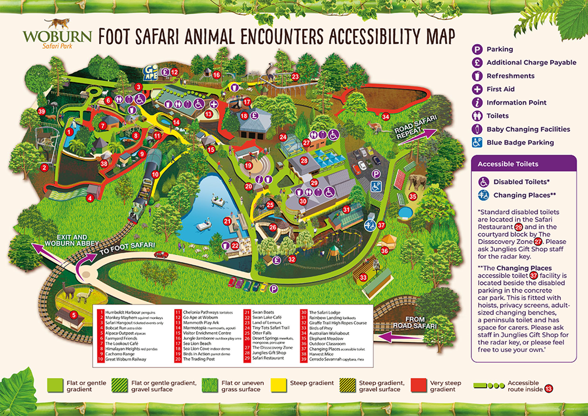 Image of wsp accessibility maps 2024 1