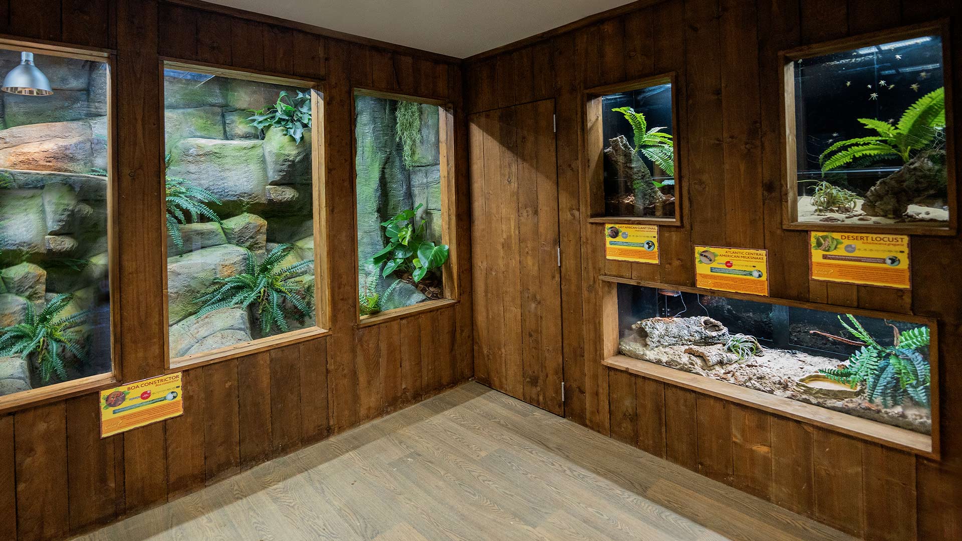 Interior of new Reptile Ranch 