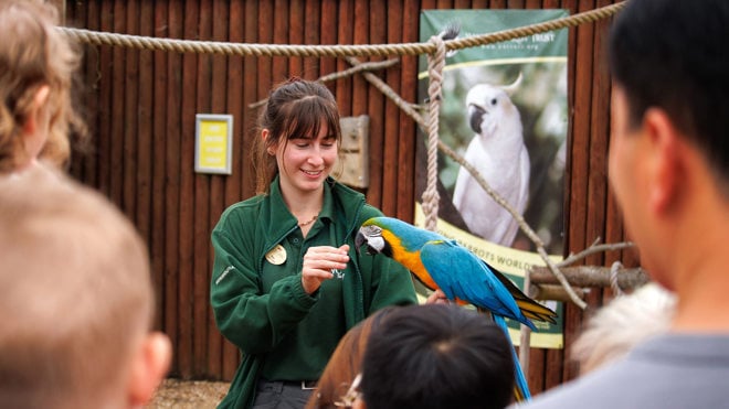 Keeper demo with blue and gold macaw 