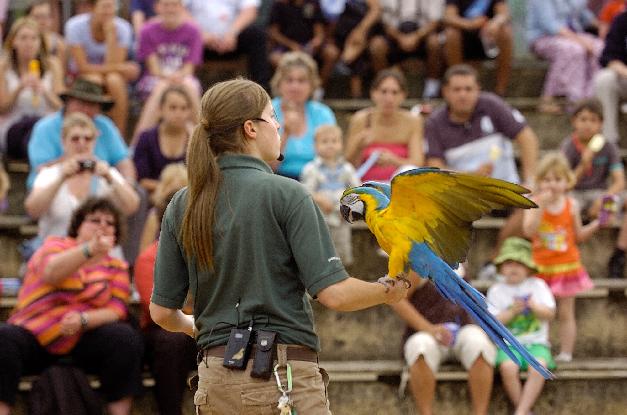 keeper on safari