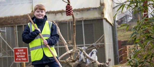 Image of holiday workshop male child mucking out lemurs