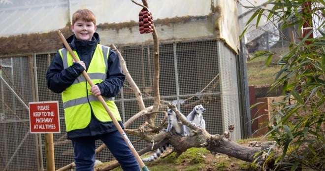 Image of the holiday workshop, a male child is helping to muck out the lemur enclosure