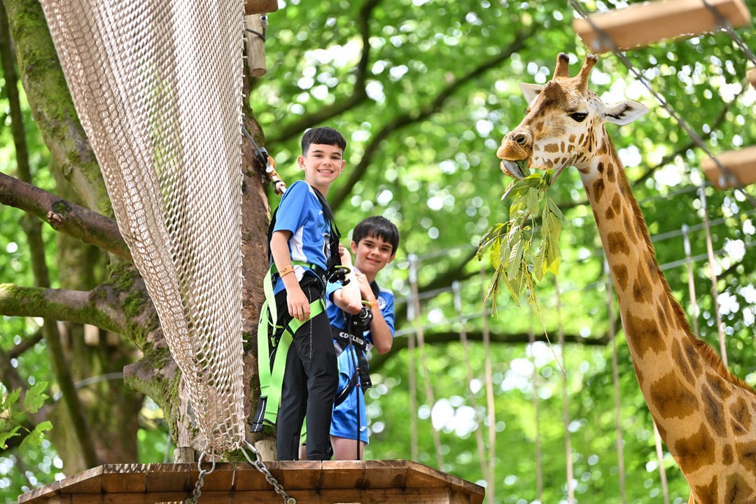 Fake photo of two boys doing a Go Ape high ropes course next to a giraffe