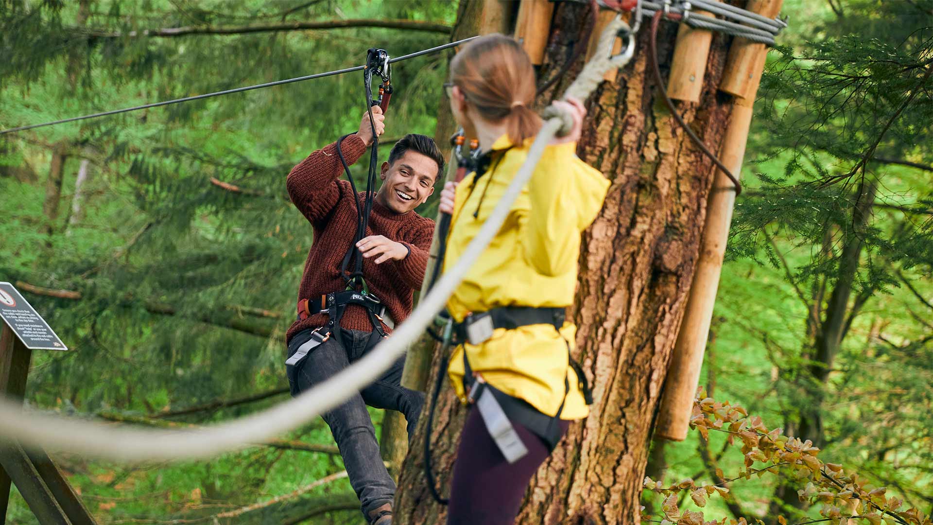 Image of go ape tree top challenge web landscape 1920x1080