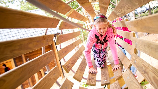 Image of go ape temple newsam018 web landscape 1920x1080