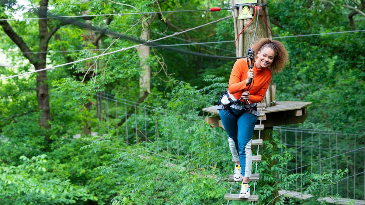 Image of tree top challenge web landscape 1920x1080