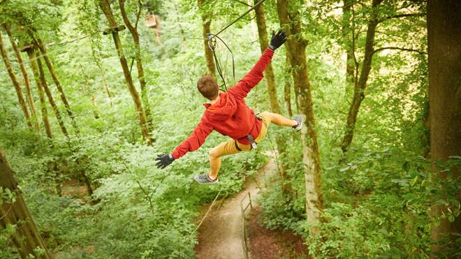 Image of ziplining through the trees web landscape 1920x1080