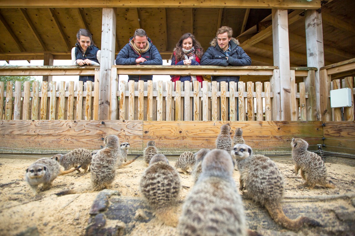 woburn safari park group bookings