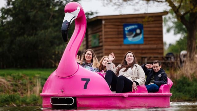 Image of family on pedalo boats web res