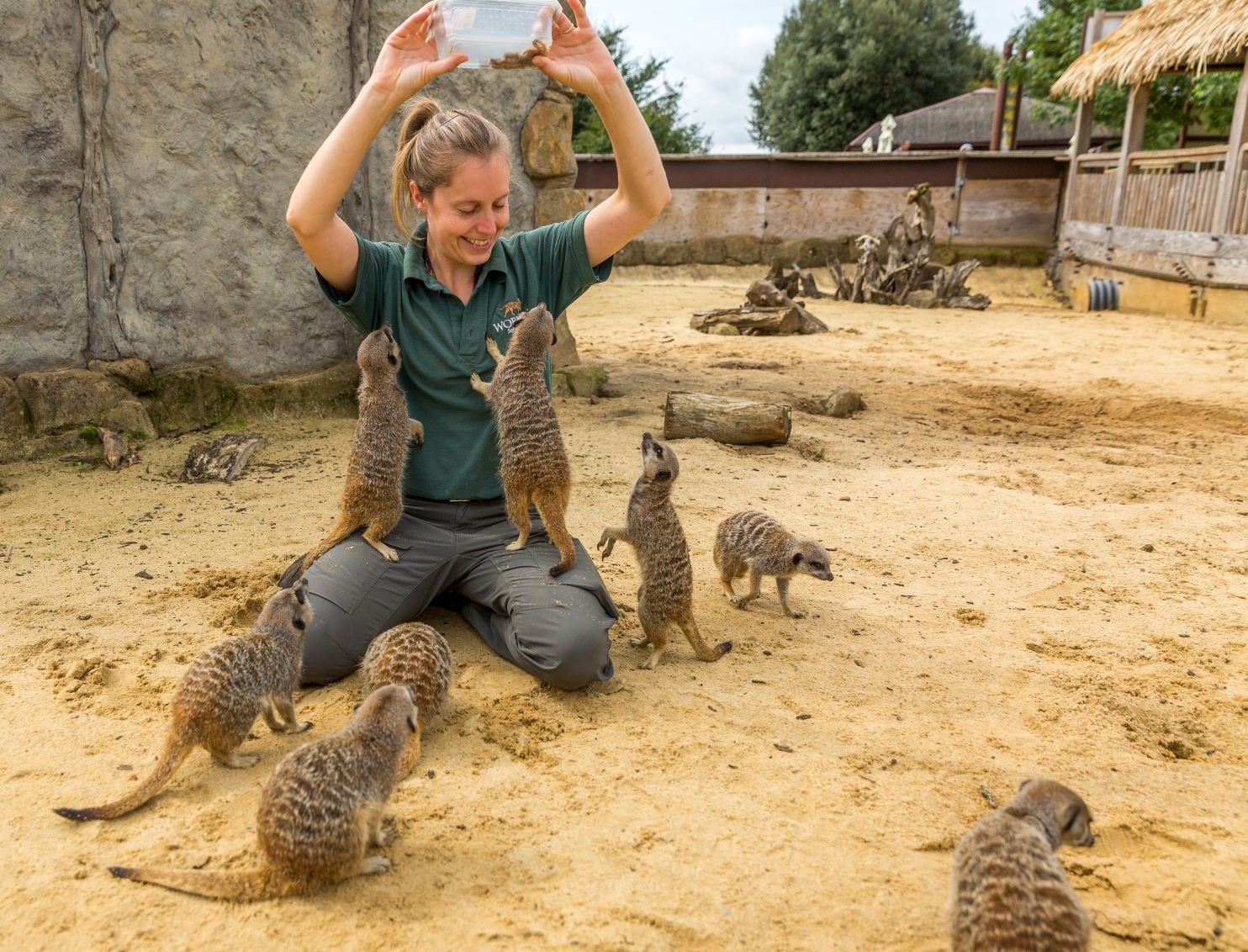 keeper on safari