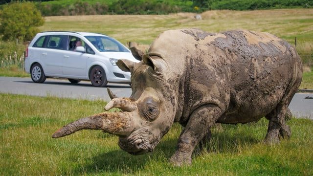 Image of rhino feature car 2024 web landscape 1920x1080