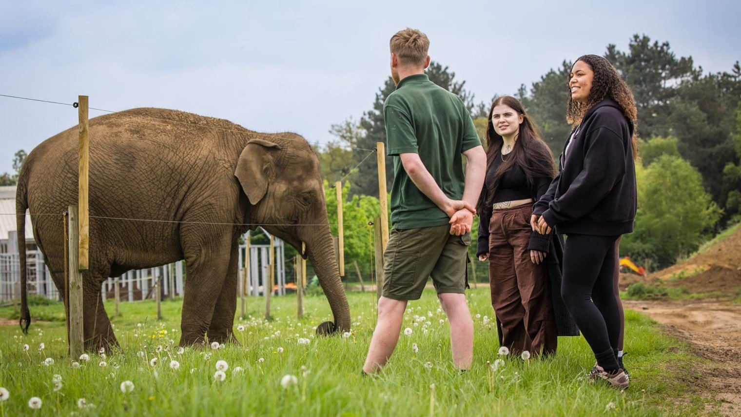 Book Your Adventure Today | Woburn Safari Park