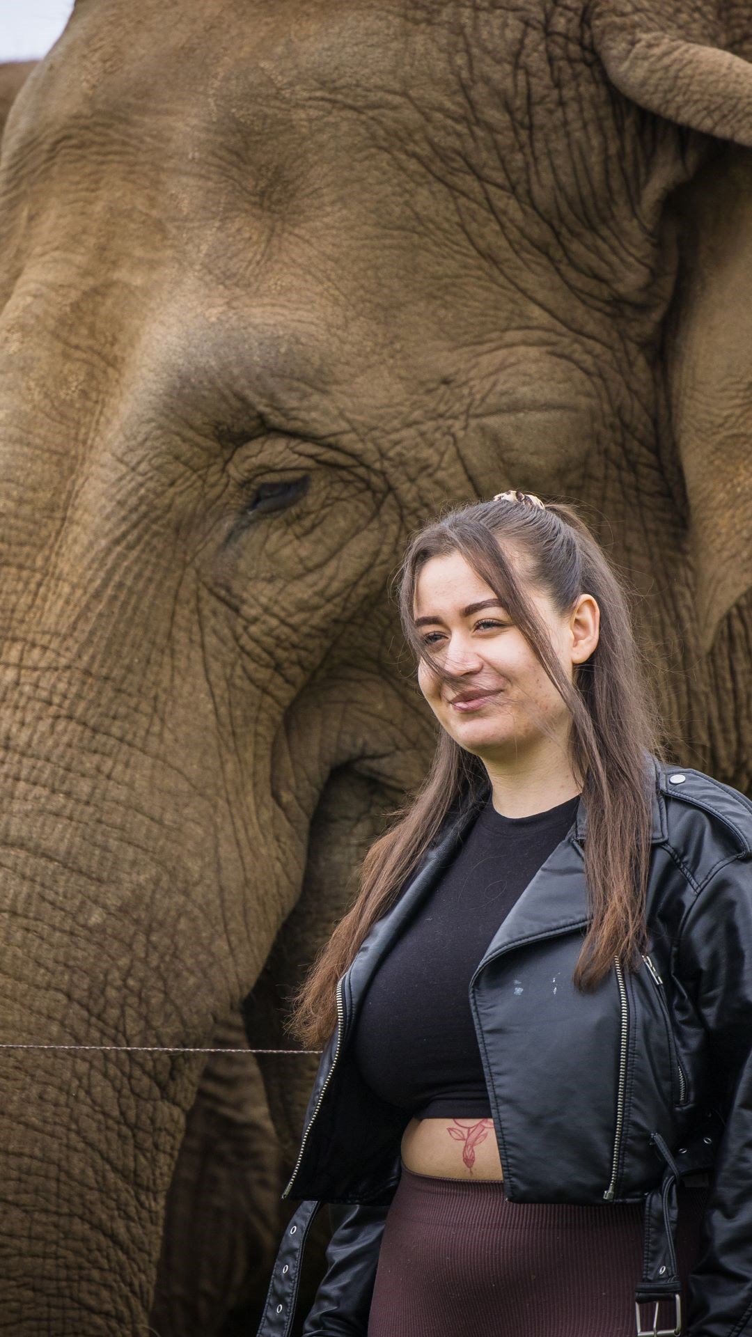 Smiling woman stands in front of Asian elephant grazing peacefully for a photo 