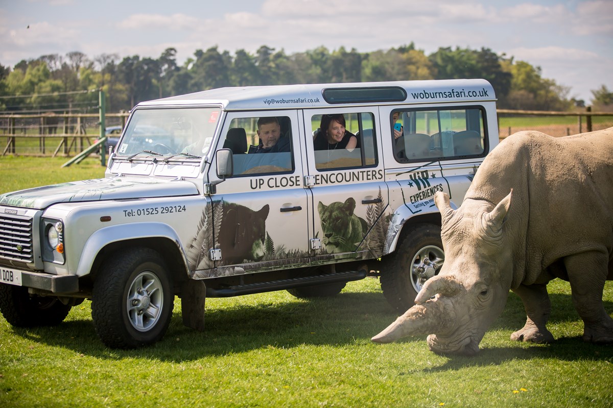 woburn safari park group bookings